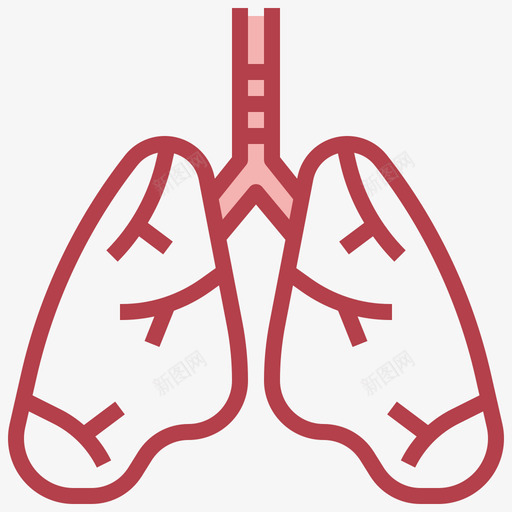 肺人体解剖学2其他图标svg_新图网 https://ixintu.com 人体 其他 解剖学