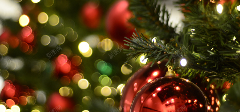 圣诞气息背景jpg设计背景_新图网 https://ixintu.com 圣诞 狂欢 松树 彩球 光圈 背景 海报banner