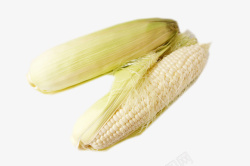 两根儿白玉米农家种植两根儿白玉米高清图片