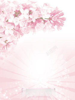 樱花味香水香水海报背景高清图片