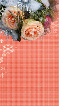 橘色玫瑰花玫瑰花网格纹理H5背景免费下载高清图片