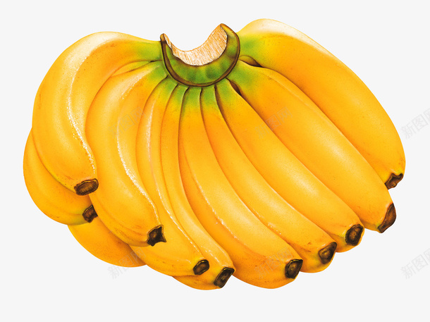 一大串美味的香蕉psd免抠素材_新图网 https://ixintu.com 香蕉 美味香蕉 一串香蕉 成熟香蕉