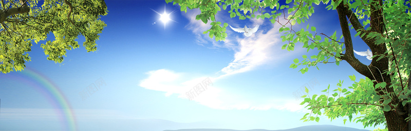 蓝天banner背景jpg设计背景_新图网 https://ixintu.com 蓝天 大树 树枝 天空 云朵 海报banner 摄影 风景