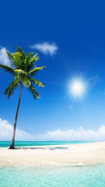 沙滩上的椰子树H5背景背景