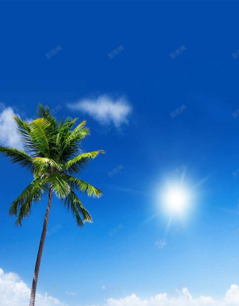 沙滩上的椰子树H5背景jpg设计背景_新图网 https://ixintu.com H5素材 光线 小清新 文艺 椰子树 沙子 清新 简约 蓝色