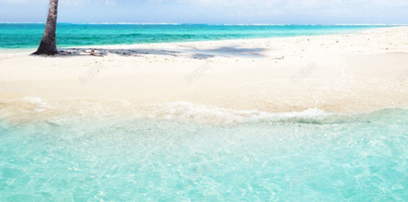 沙滩上的椰子树H5背景jpg设计背景_新图网 https://ixintu.com H5素材 光线 小清新 文艺 椰子树 沙子 清新 简约 蓝色