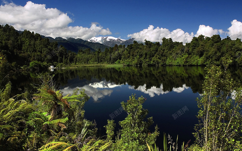 绿色植物河流高清合成素材jpg设计背景_新图网 https://ixintu.com 绿色植物 河流 高清合成 素材