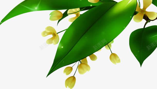 扁平手绘质感绿色的树叶花朵png免抠素材_新图网 https://ixintu.com 扁平 树叶 绿色 花朵 质感