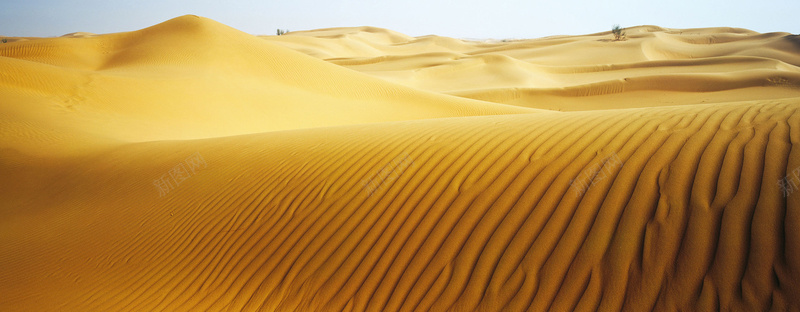 沙漠背景jpg设计背景_新图网 https://ixintu.com 沙漠沙子 海报banner 摄影 风景