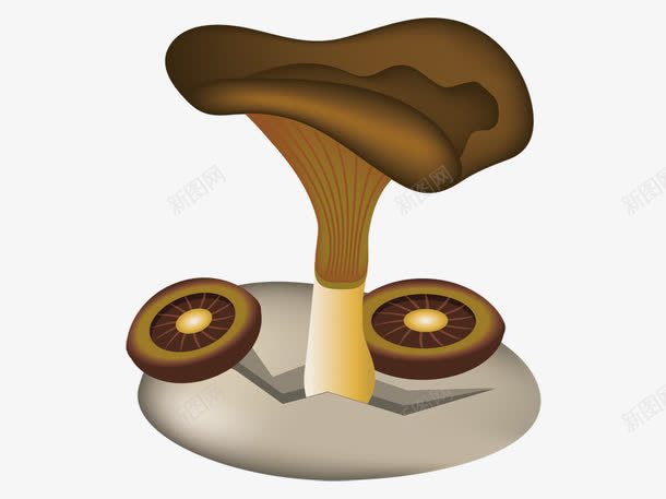 咖色蘑菇png免抠素材_新图网 https://ixintu.com 卡通 卡通蘑菇 咖色 蘑菇