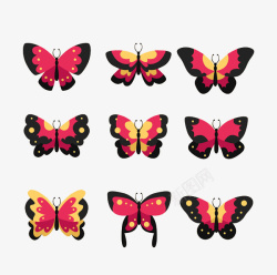 红色蝴蝶标本素材