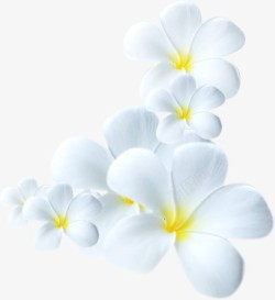 白色卡通花朵装饰创意素材