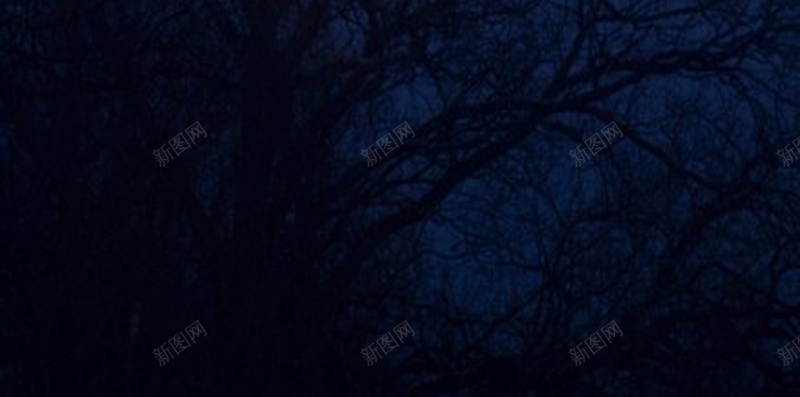 月亮摄影H5素材jpg_新图网 https://ixintu.com 大树 黑色 黄色 月亮 夜空 摄影素材 摄影 风景