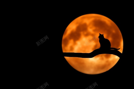 黑夜夜晚月亮圆月血月红月背景