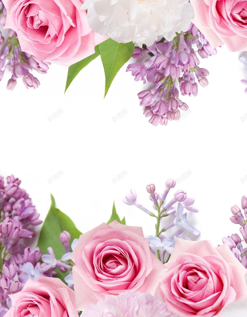 粉紫色花卉H5背景jpg设计背景_新图网 https://ixintu.com H5 H5背景 h5 女装 梦幻 浪漫 粉紫色 花卉