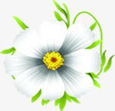 白色唯美简约白色花朵png免抠素材_新图网 https://ixintu.com 白色 简约 花朵