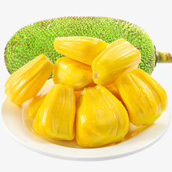 菠萝蜜素材黄心菠萝蜜果高清图片