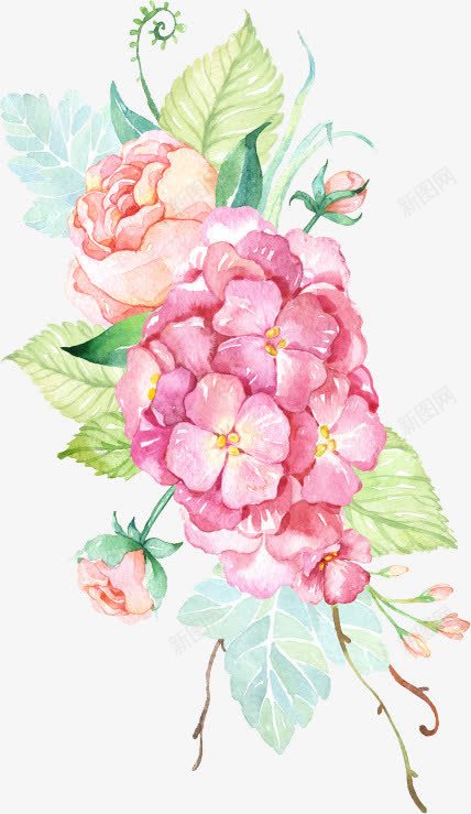 插画手绘效果花朵png免抠素材_新图网 https://ixintu.com 插画 效果 花朵