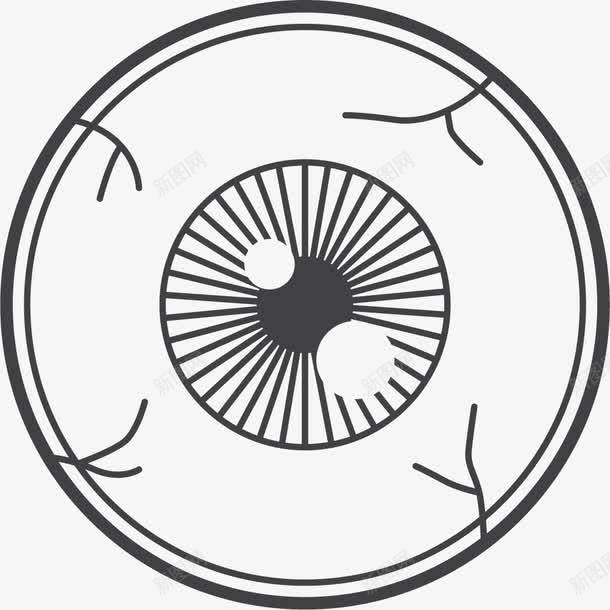 圆形眼球手绘器官图png免抠素材_新图网 https://ixintu.com 人体眼球 内脏 器官 圆形眼球 手绘器官 手绘眼球