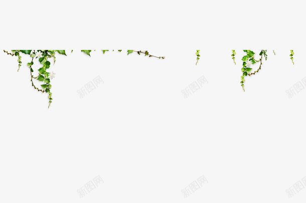 树叶植物装饰边框png免抠素材_新图网 https://ixintu.com 树叶 植物 边框