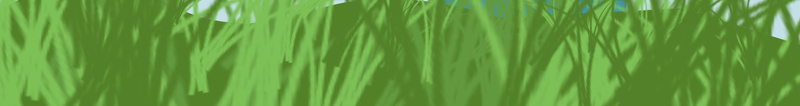 卡通手绘中国传统二十四节气海报背景素psd设计背景_新图网 https://ixintu.com 中国 二十四节气 传统 卡通 小草 手绘 昆虫 海报 素材 背景 节气