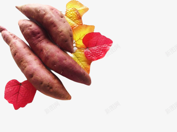 红薯png免抠素材_新图网 https://ixintu.com 地瓜 地瓜干 干果 番薯 番薯干 红薯 红薯干 红薯片