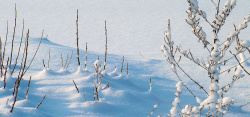白茫茫的雪地一片白茫茫的雪地图片高清图片