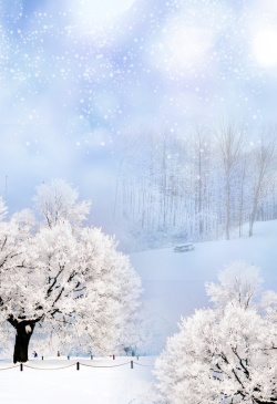 冬季文艺冬季雪花树木白色浪漫海报背景高清图片