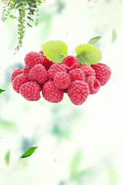 自然展板背景水果覆盆子果酱背景海报高清图片