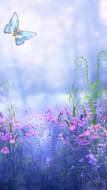 蝴蝶飞舞在紫色花草上面H5背景背景