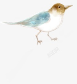 手绘可爱水彩小鸟装饰素材