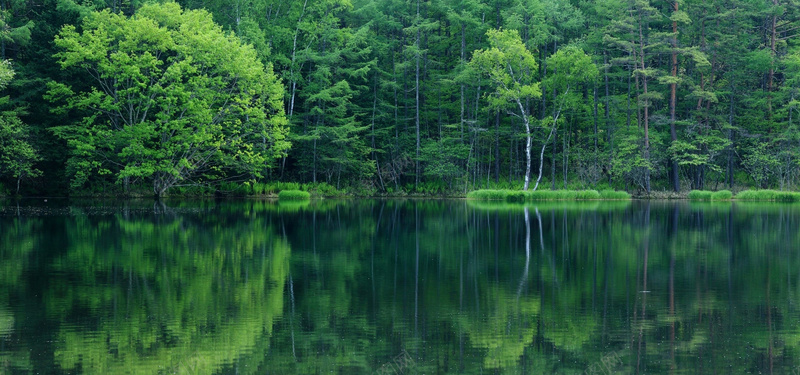 树林河流背景jpg设计背景_新图网 https://ixintu.com 海报banner 自然风光 景区 树林 河流 摄影 风景