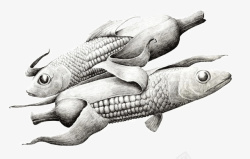 玉米鱼素描插画素材