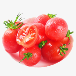 红色柿子圣女果西红柿高清图片