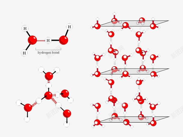 分子元素png免抠素材_新图网 https://ixintu.com 水分子 生物学 红色 运动
