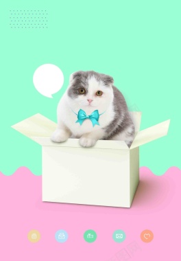 超可爱箱子里的宠物猫咪海报背景