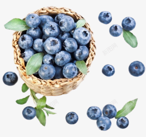 蓝莓水果新鲜png免抠素材_新图网 https://ixintu.com 好吃 新鲜 水果 蓝莓