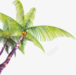 椰子树淘宝素材