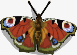 五颜六色的蝴蝶美丽的蝴蝶矢量图高清图片