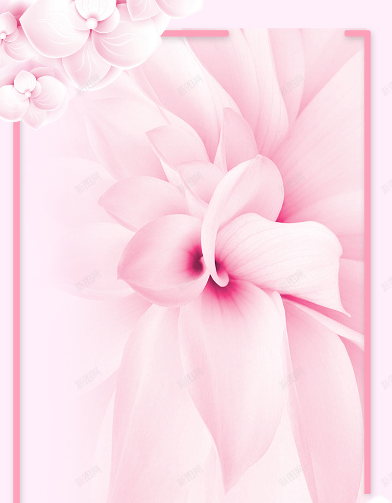 唯美化妆品海报背景psd设计背景_新图网 https://ixintu.com 会所 化妆品 唯美 护肤 整形 粉色 美妆 花朵