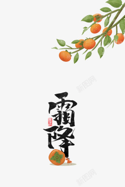 柿子树枝霜降手绘柿子树枝装饰元素高清图片