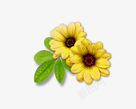 黄色花朵图png免抠素材_新图网 https://ixintu.com 绿叶 花朵 黄色花朵