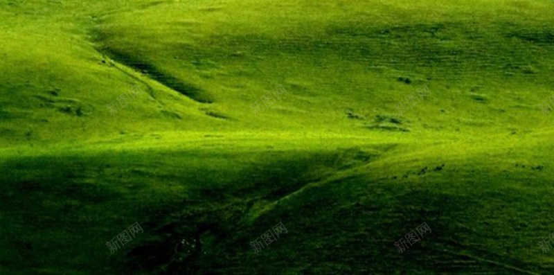 草地上的风车H5背景jpg设计背景_新图网 https://ixintu.com 风景 草地 风车 绿色 草原 H5背景 H5 h5 摄影