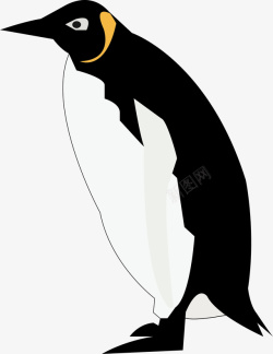企鹅简笔插画素材