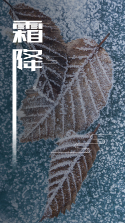 霜降节气H5背景海报