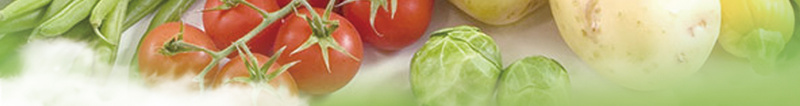 小清新蔬菜促销宣传单jpg设计背景_新图网 https://ixintu.com 健康美味 天然 小清新 有机蔬菜 生鲜超市 绿色食品 蔬菜 超市生鲜