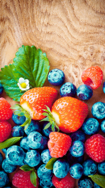 蓝莓水果草莓H5背景背景