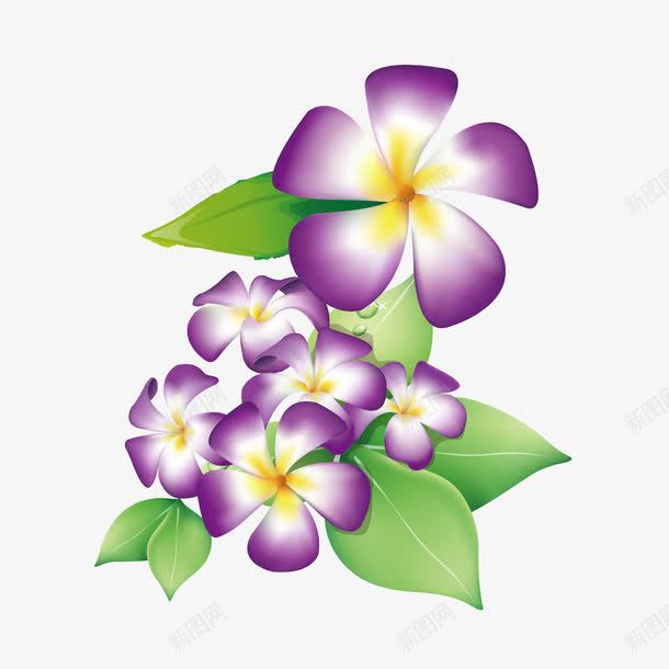 紫色花纹花叶图案png免抠素材_新图网 https://ixintu.com 紫色 花叶图案 花纹