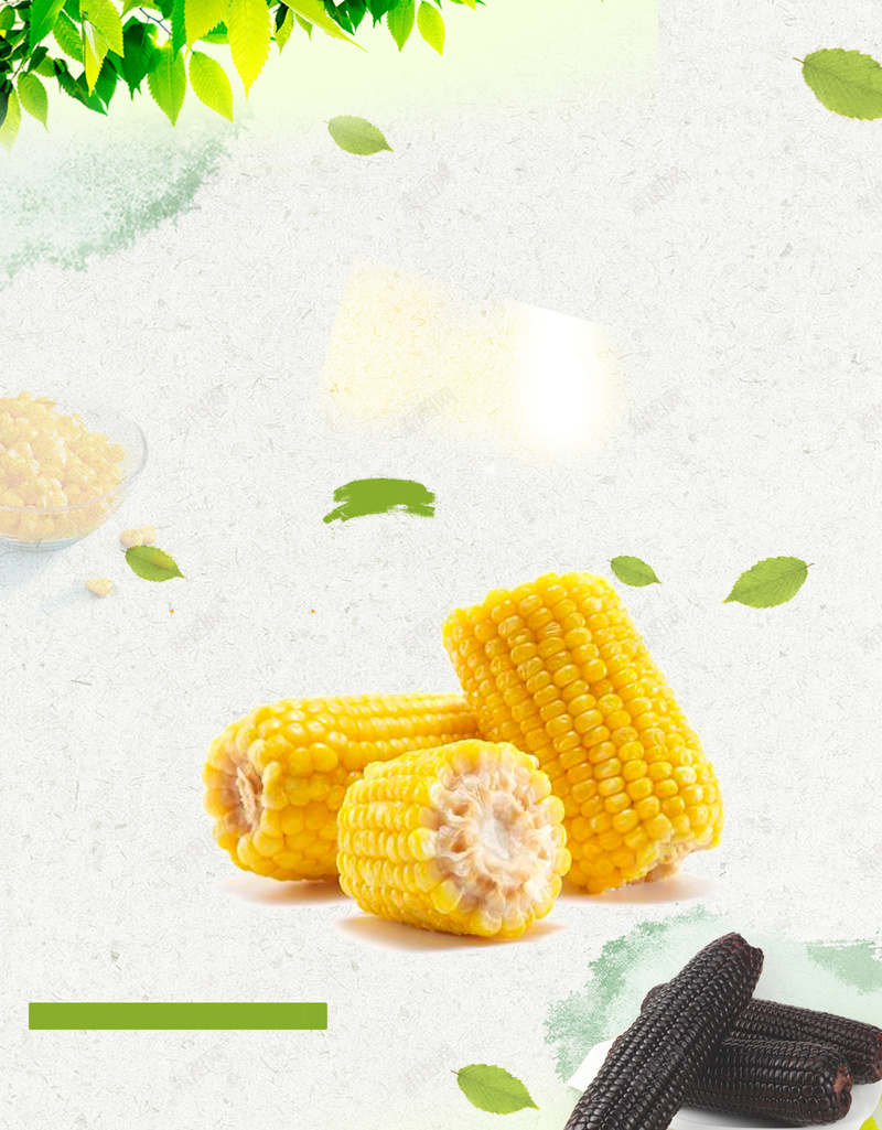 有机蔬菜玉米海报背景psd设计背景_新图网 https://ixintu.com 底纹 有机 树叶 海报 清新 玉米 素材 绿叶 背景 蔬菜
