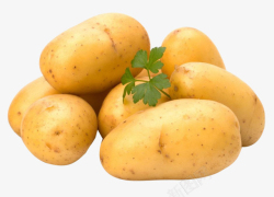 大土豆马铃薯新鲜蔬菜高清图片